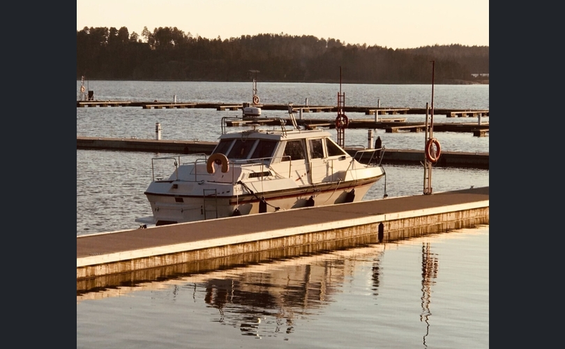 Sterna Muu malli-kuva-8